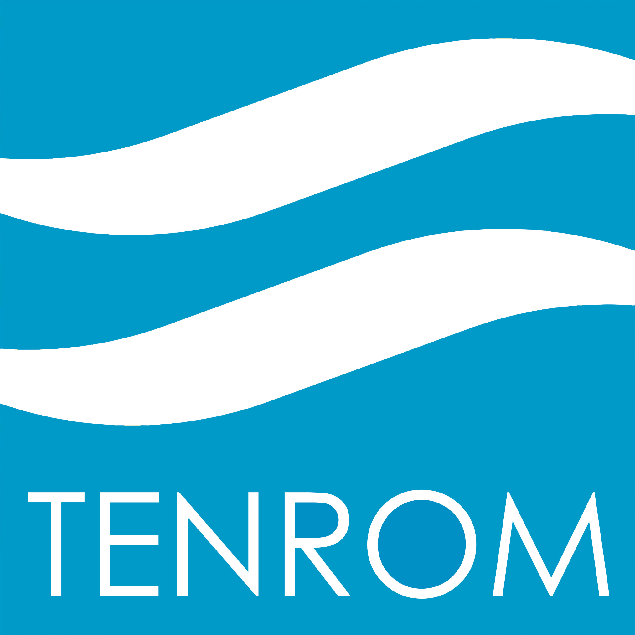 1 1 Tenrom